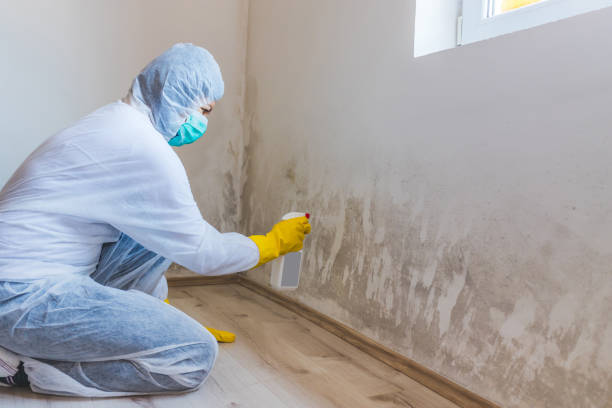Licensed Mold Testing service in Liberty Hill, TX - WQB Mold Removal
