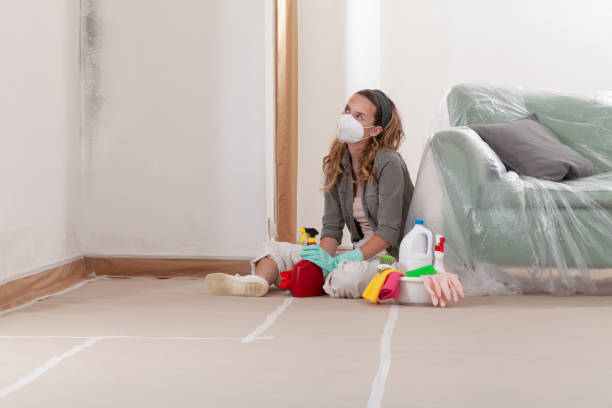Reliable Mold Testing contractor in Liberty Hill, TX by WQB Mold Removal