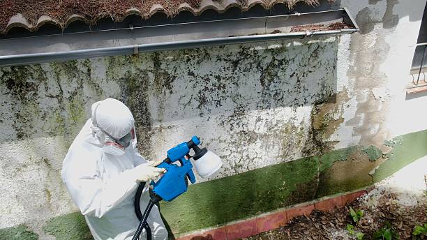 Top rated local Mold Testing specialists in Liberty Hill, TX